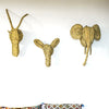 Set of trophies, animal heads, in natural fibers